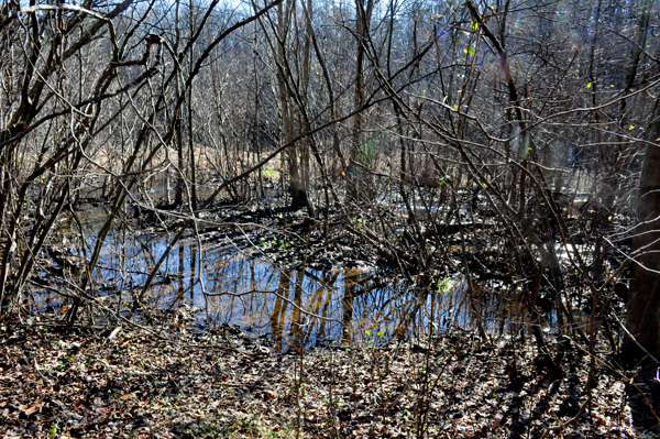 water at Crowders Mountain